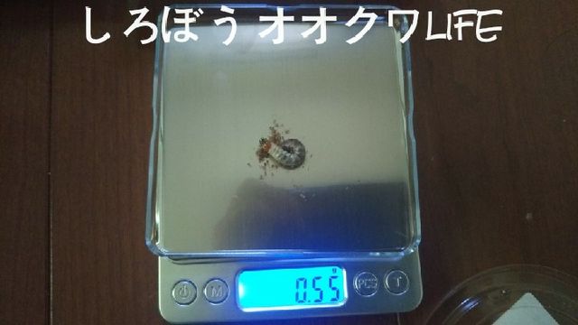 WaterMark_2018-08-14-14-54-33