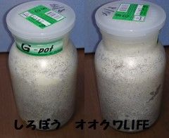 菌糸ボトル2