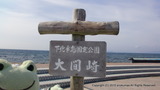 CIMG0341