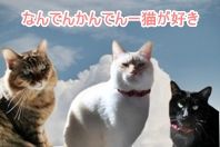てんぷ