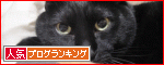 br_decobanner_20091028021816