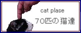 70ɤ¤ÎÇ¡£