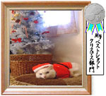 Xmas¶ä¾Þ