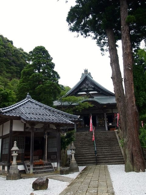 P5303586 (640x480)