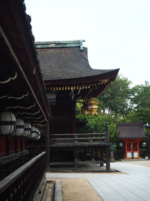 P6030207