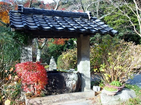 PC144416 (640x480)