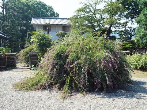 P9250259