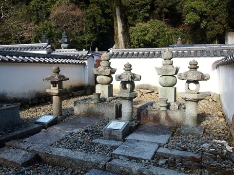 P1235503 (640x480)