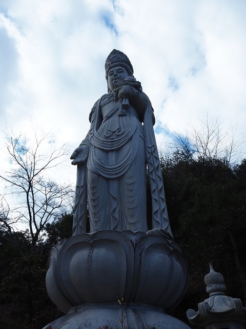 P1031550