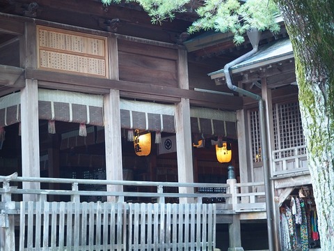 PA080335