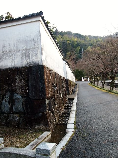 P1196137 (640x480)