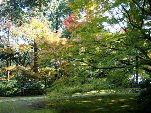 PB129474 (640x480)