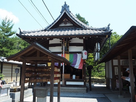 P6040351