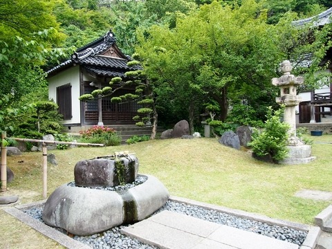 P5303605 (640x480)