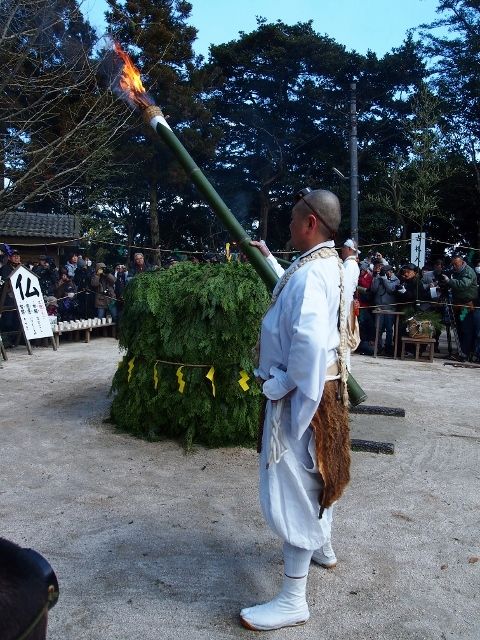 P2156219 (480x640)