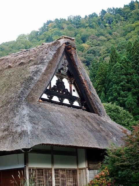 PA187825 (640x480)