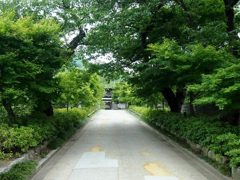 P5303599 (640x480)