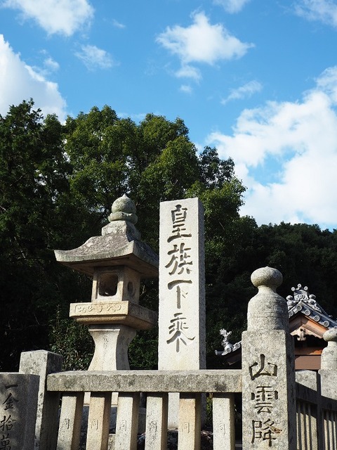 PA280732