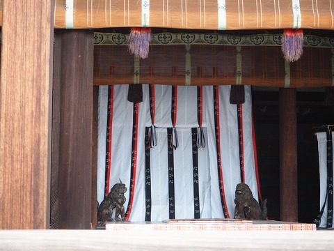 P6030118