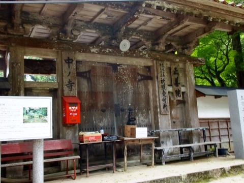 P5303556 (640x480)