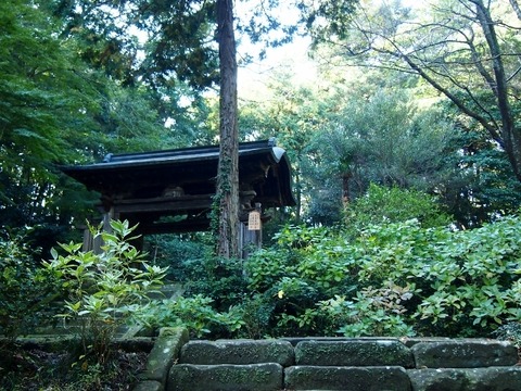 PB129557 (640x480)