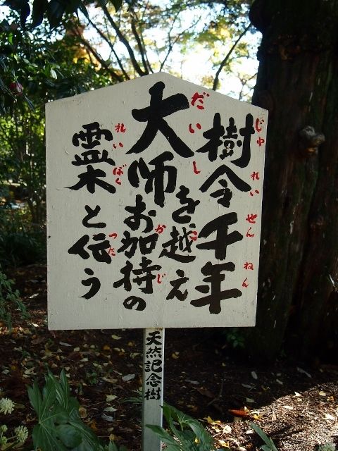 PB163488 (640x480)