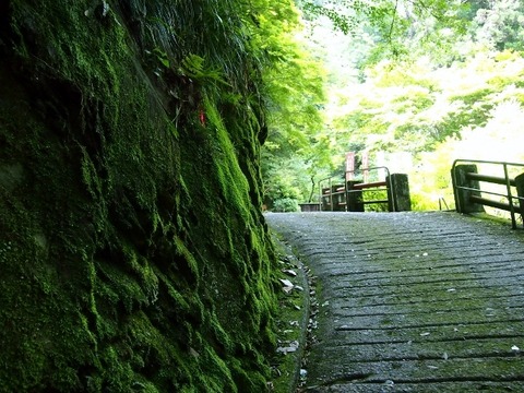 P6284653 (640x480)