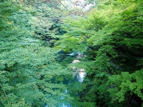PA197846 (640x480)