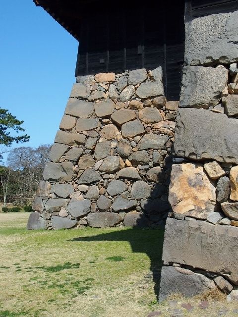 P3207446 (640x480)
