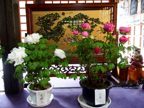 P1196230 (640x479)