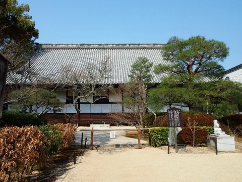 P3057002 (640x480)