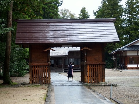 PA298463 (640x480)