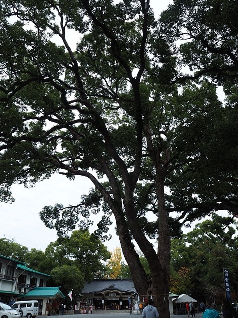 PB190290