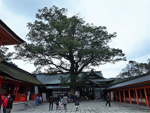 P1221771 (640x480)