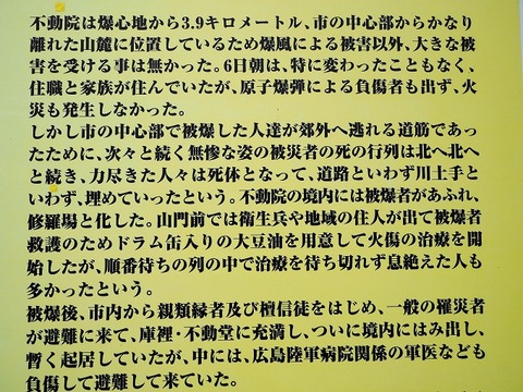 P9040249