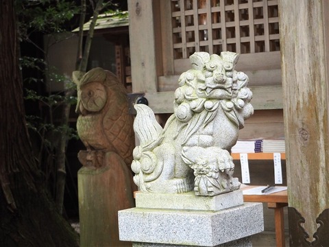 PC030737