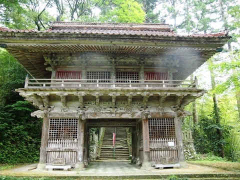 P5303577 (640x480)