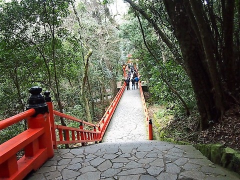P1221779 (640x480)
