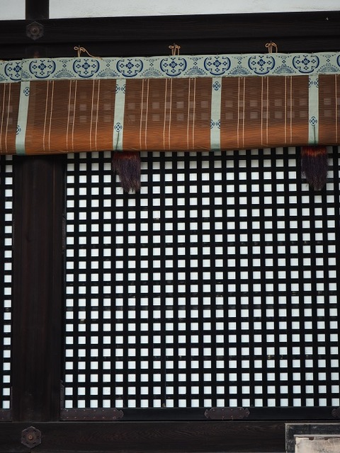 P6030110