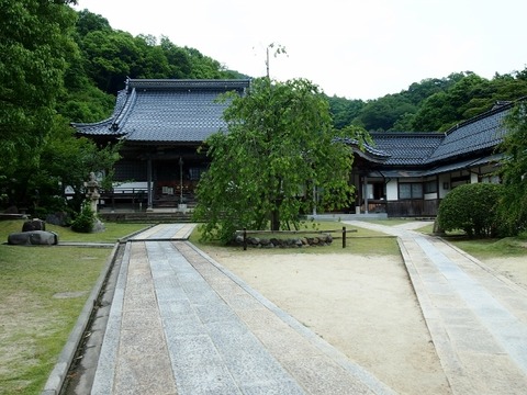 P5303603 (640x480)