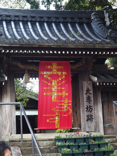 P5010947