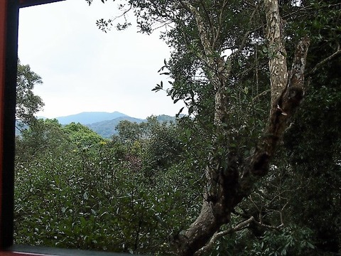 P1221773 (640x480)