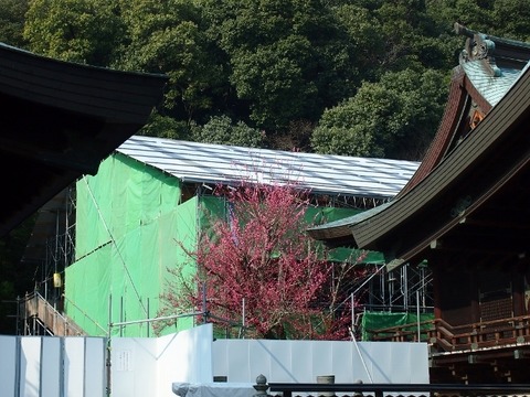 P3056883 (640x480)