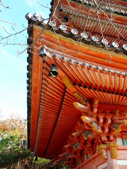 PC234429 (640x480)
