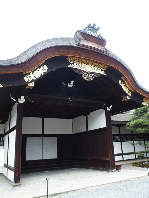 P6030065