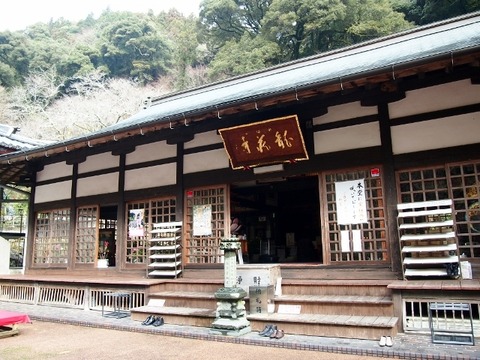 P1196236 (640x480)