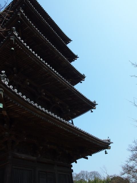 P3056964 (640x480)