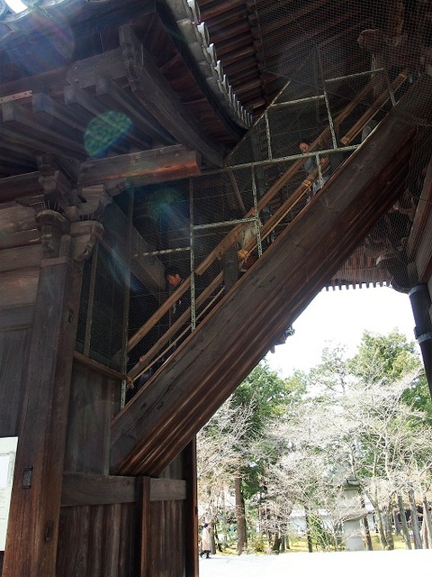 P3274535