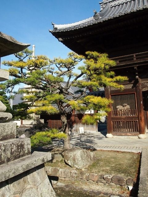 PB163523 (640x480)