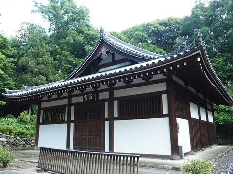 P6040411